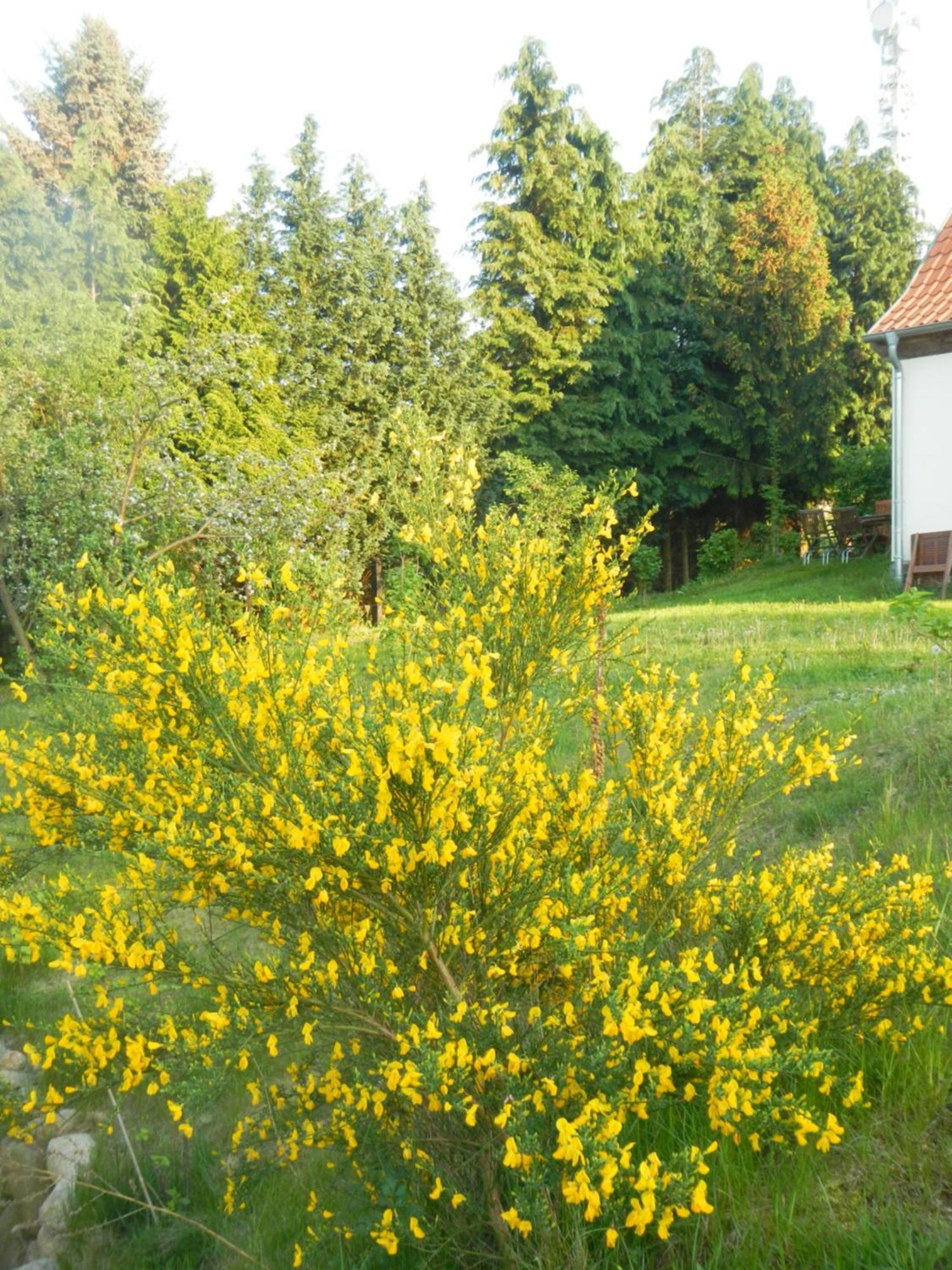 Ferienlandhaus Zempow Extérieur photo
