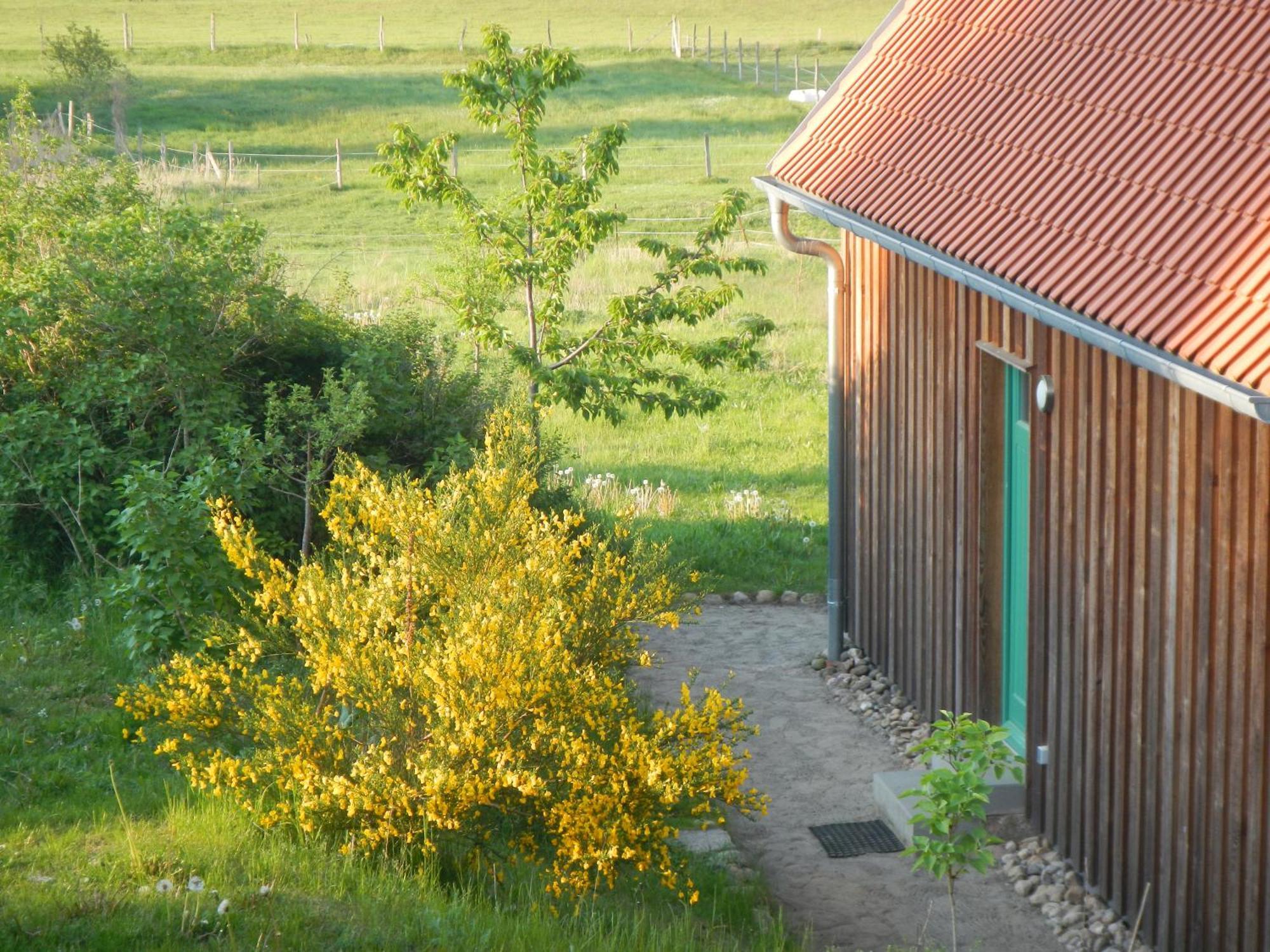 Ferienlandhaus Zempow Extérieur photo